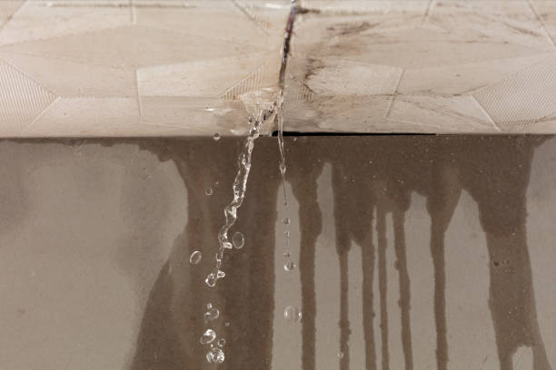 Professional Sewage Cleanup technician working in West Alton, MO